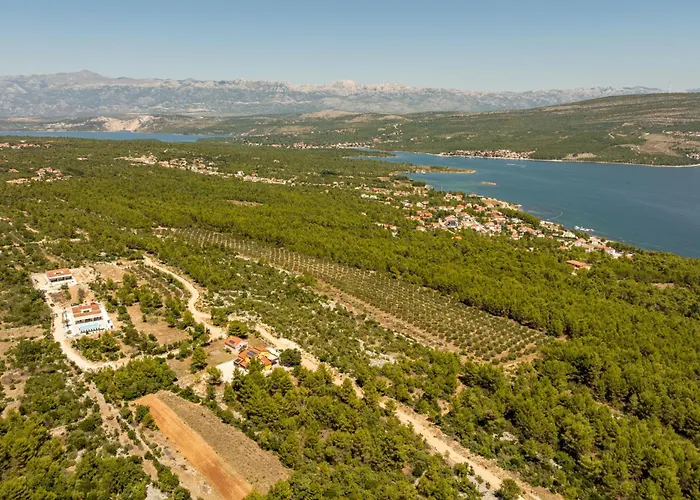 Olea Zadarvillas *