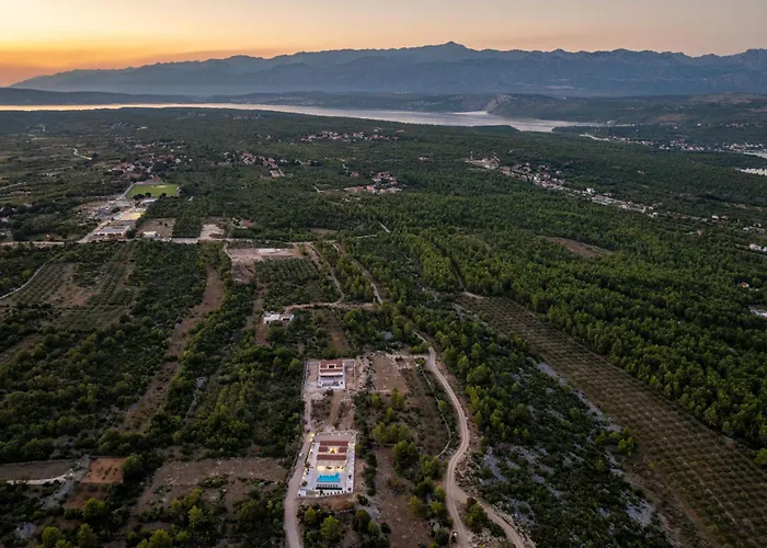 Olea Zadarvillas