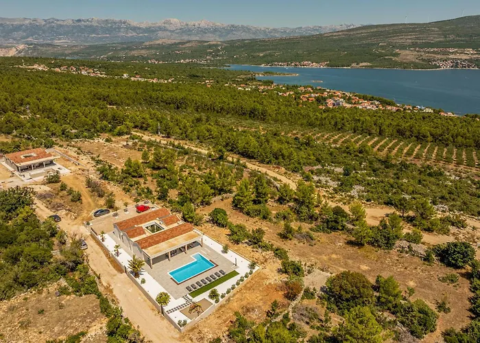 Olea Zadarvillas *