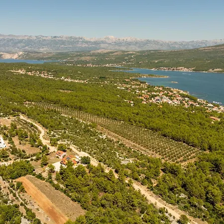 Olea Zadarvillas *