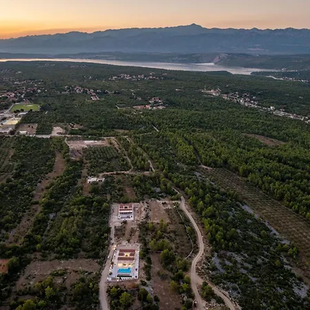 Olea Zadarvillas